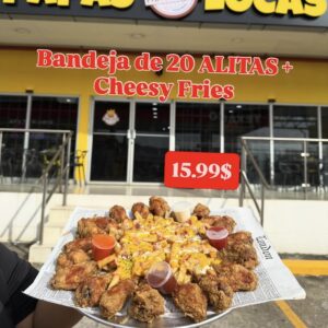 BANDEJA DE 20 ALITAS+CHEESE FRIES