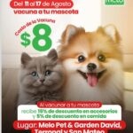 imagen del producto Vacuna a tu mascota