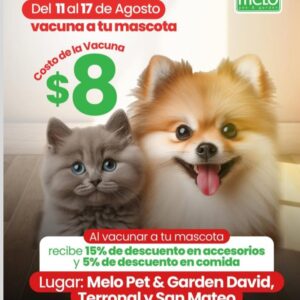 Vacuna a tu mascota